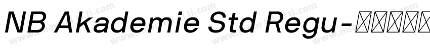 NB Akademie Std Regu字体转换